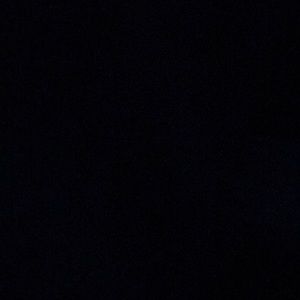 Meet your Posher, Dylan